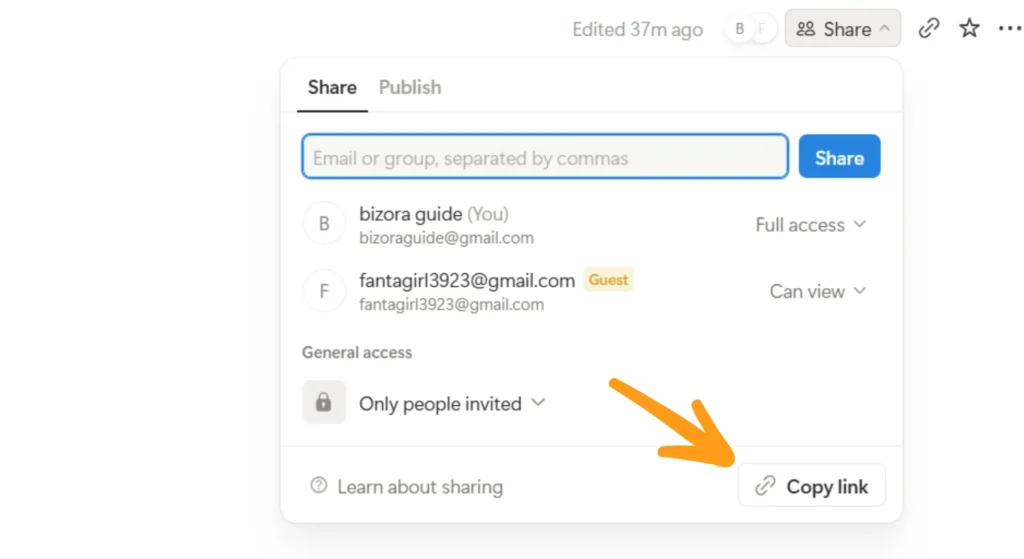 New empty opened notion page's share option view in email share pane pointing copy link