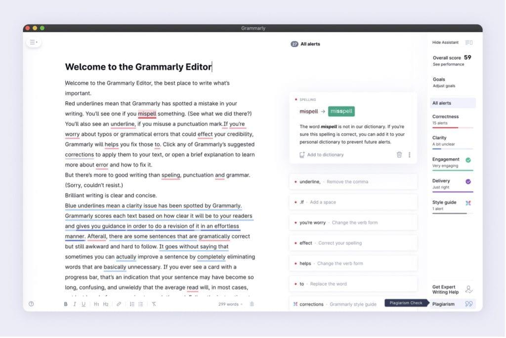 Grammarly text editing page view